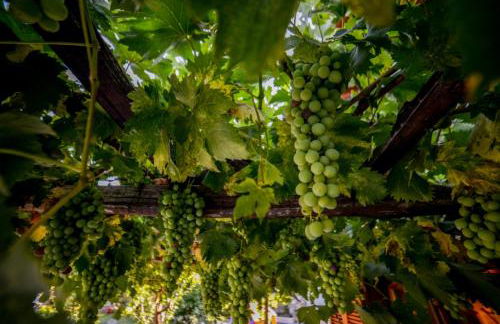 Filoxenia- Drakia - Foto 14