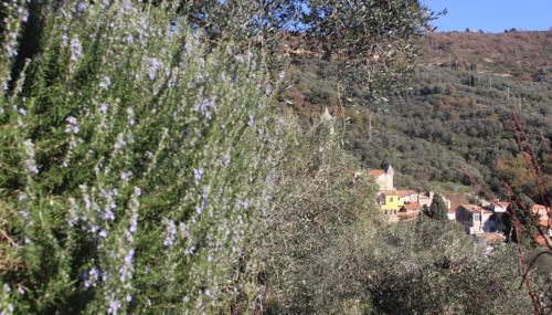 Montegrazie Apartment - Foto 4