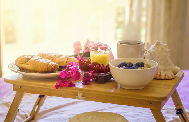 Olive Farm - Foto 10