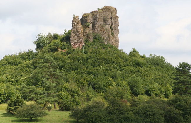 Bungalow Near Eifel Ski Lift - Foto 35