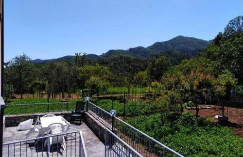 Casa Natale - Foto 34