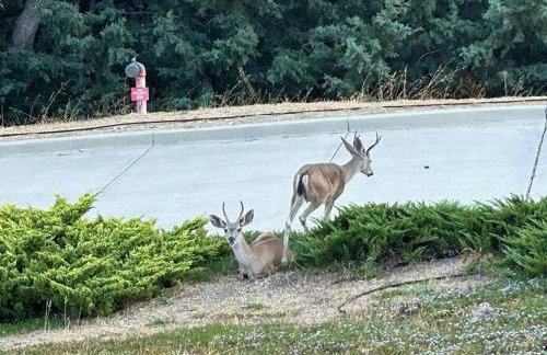 Hilltop Vistas-Private Pool, Firepit, Views - Foto 68
