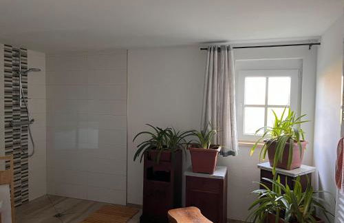 Pension up´n Dörp - Foto 55