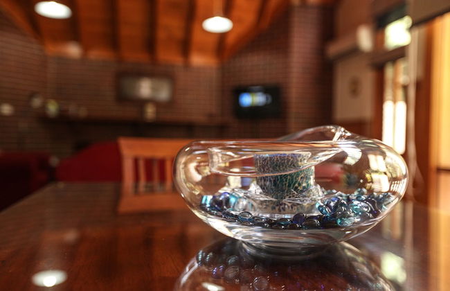 The Lodges - Photo 8