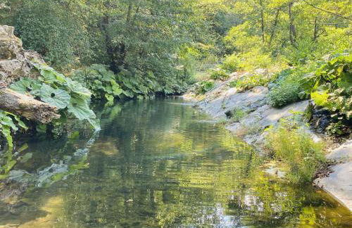 Holiday Home Castagna by Interhome - Foto 42