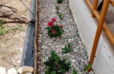 White lilies the house of gourmet flavours - Foto 35