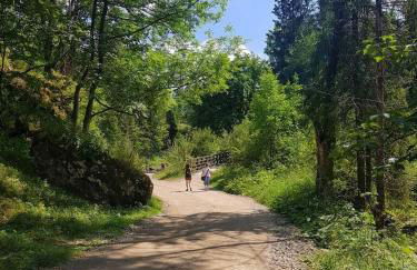 Apartment Euringer Villa Erna - Foto 21