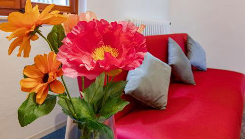 Hostly-La Casa sul Serchio-Close to Lucca and Pisa - Foto 4