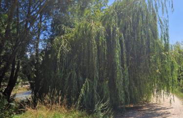 L'entre deux Eaux 'Maison' Balcon 'et Jardin - Foto 28