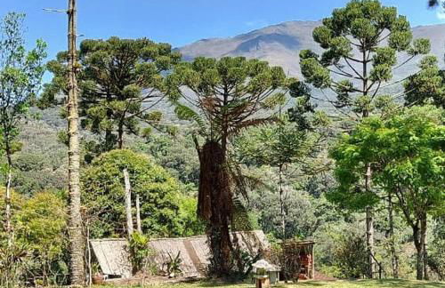 Chalé do Coiote em Maromba - Foto 10