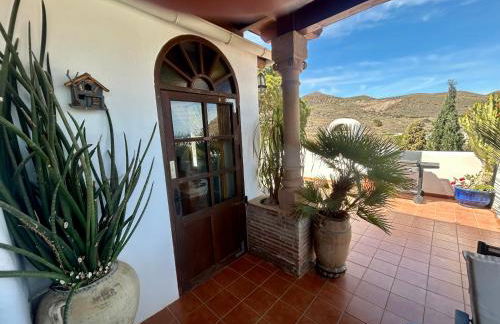 La Washingtonia - Foto 33