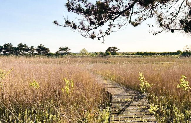 Cozy Coastal Cottage at Jegindo-by Traum - Foto 12