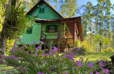 Canto da cascata - Foto 3