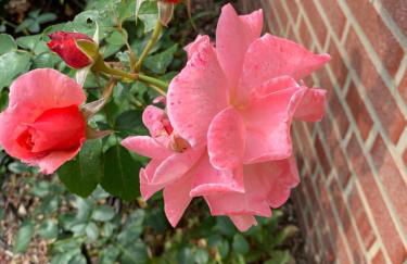 Ferienwohnung Am Haarhaus - Foto 24