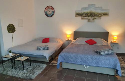 Studio apartmani Toplička bajka - Foto 40