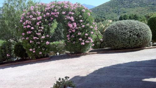 Villa ELOFRED - Foto 5, Garden