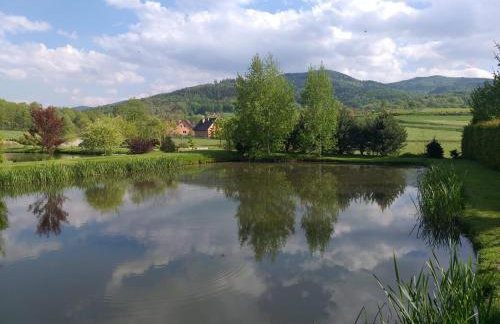 VIP Apartament Sosnówka - Foto 22