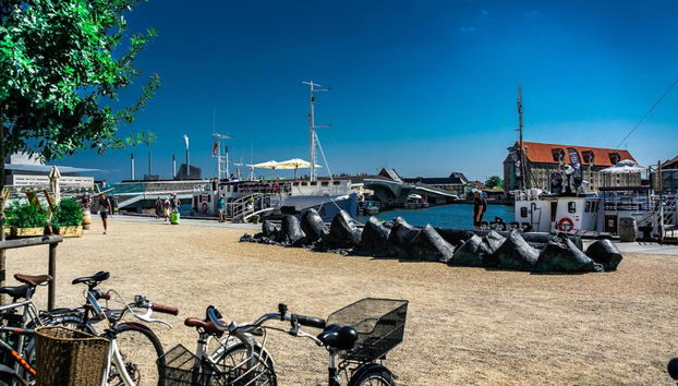 Copenhague sobre ruedas - Tour privado en coche - Foto 3