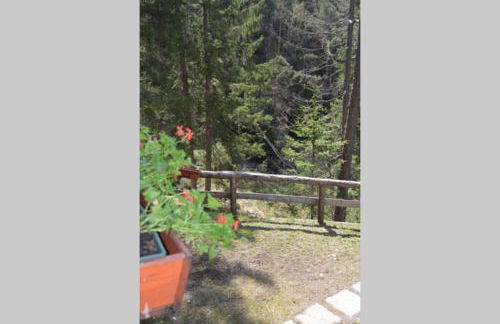 Chalet nel bosco - Photo 47