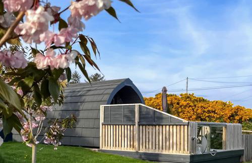 Maggie's Cabin - Photo 16