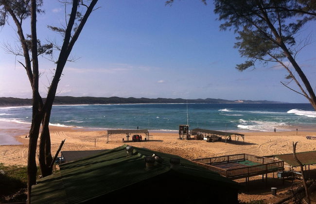 Coral Divers - Foto 13