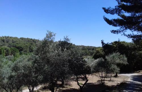 Gîte du domaine de l'Arbre de Vie - Foto 14