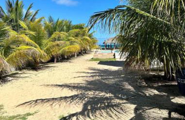 Casa Ponta da Asa - Foto 12