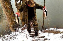 Bieszczadzkie Dworki - Foto 43