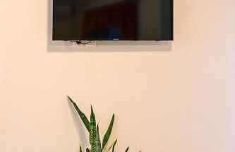 Marina's dream house - Foto 12