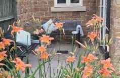 Tall Trees. Luxury North Cotswold cottage - Foto 33