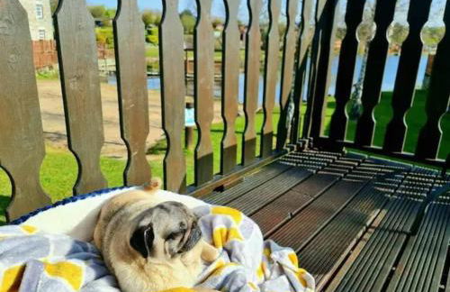 4 Bed Luxury Lodge with Hot tub near Lake District - Foto 45