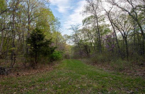 Cedar Ridge - Foto 38