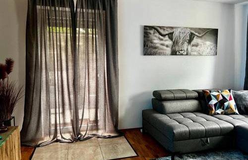 Im Schwarzwald - Foto 13