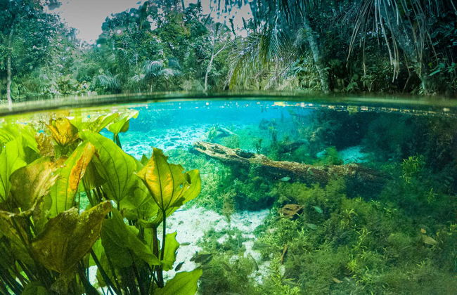 Snorkeling dans la rivière Bonito - Foto 2