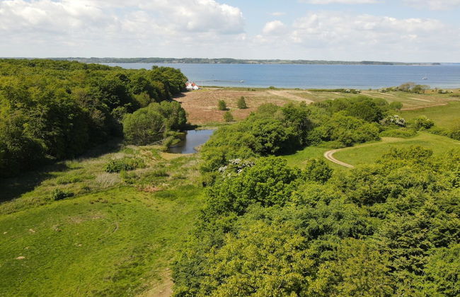 "Rosa" - 300m from the sea - Foto 6