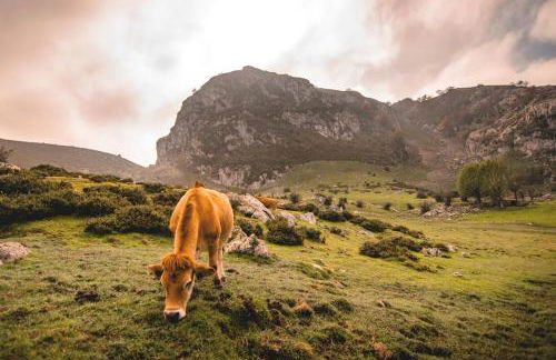 Casa Marian - Foto 80