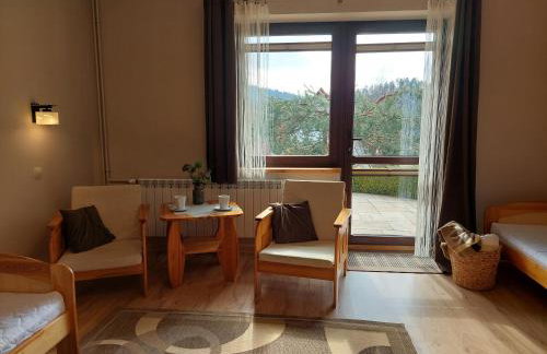 Willa Przekop - apartamenty - Foto 15