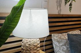 Atlantico Flamingo - Photo 7