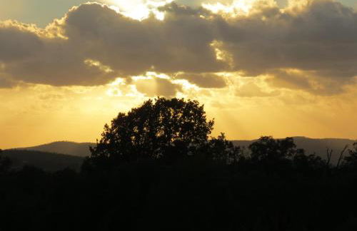 Podere La Branda - Foto 73