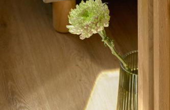 Enea Living - Foto 45