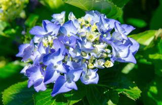 Ferienhaus Zissi - Foto 29