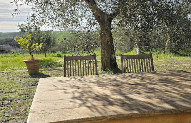 Podere Spedalone - Photo 67