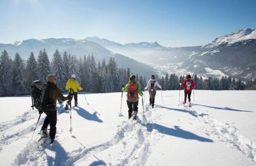 chalet artheis - Photo 28