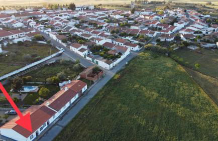 Tia Antonia - Foto 7