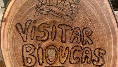 Visitar-Bioucas-I-AL-Q-Nature-and-Well-being-RNAL-43962-AL - Foto 5