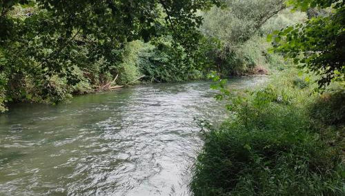 Umbria Valnerina , Il TARTUFFO, sulla via di Francesco - Foto 4