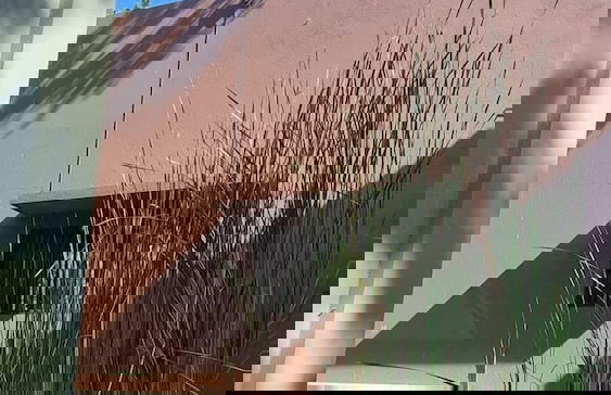 Neem Tree House - Foto 20