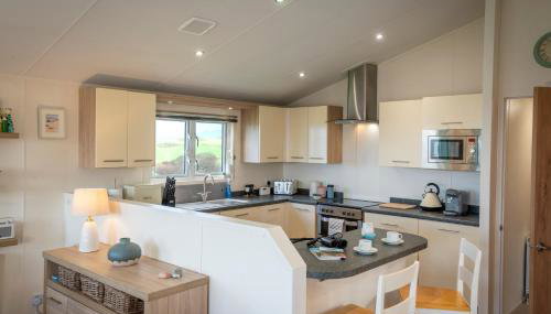 Bay View Lodge, Brynowen - Foto 5, stove, pet friendly, toaster, minibar