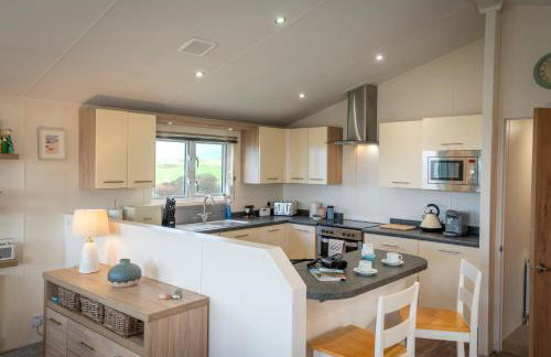 Bay View Lodge, Brynowen - Foto 5