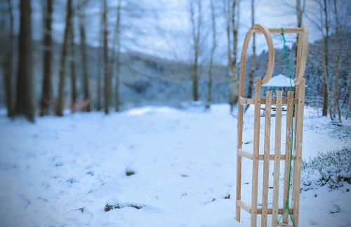 Ferienwohnung Mühl - Familienfreundlich, 2 Schlafzimmer, großes Grundstück, Erzgebirge - Foto 61